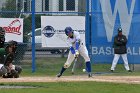 Baseball vs Babson  Wheaton College Baseball vs Babson during NEWMAC Championship Tournament. - (Photo by Keith Nordstrom) : Wheaton, baseball, NEWMAC